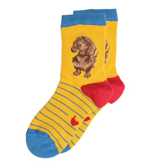 Wrendale Designs - Children’s Bamboo Socks - Dachshund