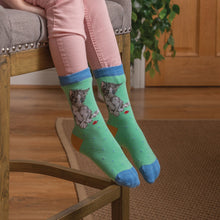  Wrendale Designs - Children’s Bamboo Socks - Kitten and Ladybird