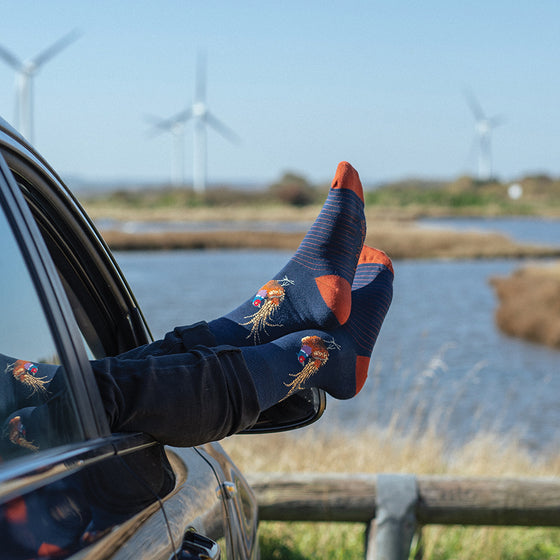 Wrendale Designs - Men’s Bamboo Socks - Pheasant