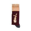 Wrendale Designs - Men’s Bamboo Socks - Hare