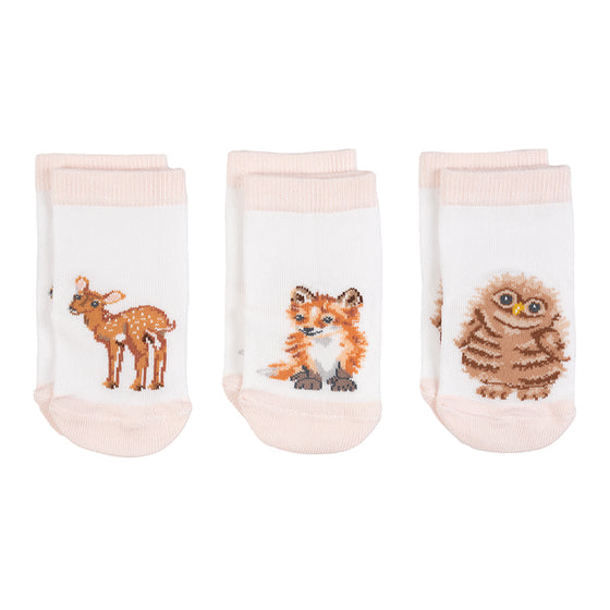 Gifts for women UK, Funny Greeting Cards, Wrendale Designs Stockist, Berni Parker Designs Gifts Greeting Cards, Engagement Wedding Anniversary Cards, Gift Shop Shrewsbury, Visit Shrewsbury Wrendale Designs Little Wren Collection Set of 3 Baby Socks Woodland Animals 0-6 mos 2