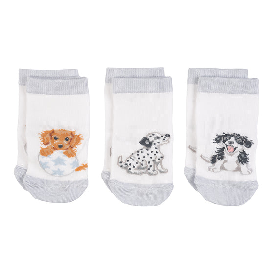 Gifts for women UK, Funny Greeting Cards, Wrendale Designs Stockist, Berni Parker Designs Gifts Greeting Cards, Engagement Wedding Anniversary Cards, Gift Shop Shrewsbury, Visit Shrewsbury Wrendale Designs Little Wren Collection Set of 3 Baby Socks Puppies 0-6 mos 2